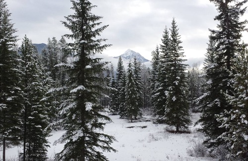 Blaeberry House | Mountain views in secluded privacy