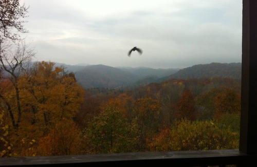 Blowing Rock Cottage | Mountainside Cottage! Great Views, Close to Appalachian Ski Mtn, Free WiFi!