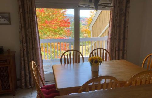 Stowe Area Apartment | Mountainside Resort V