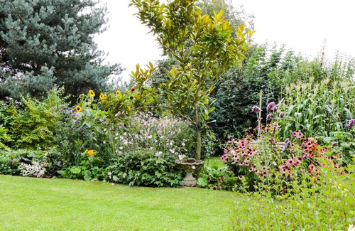 Clenchwarton Cottage | Mrs Dale's Cottage