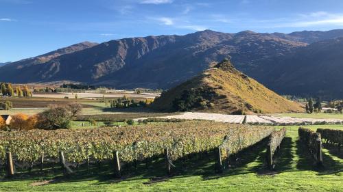 Gibbston Bed & Breakfast | Mt Rosa Lodge Boutique Vineyard Accommodation