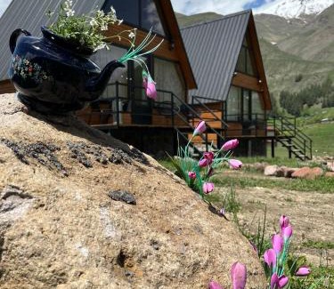 Kazbegi Apartment | MTISGULI Cottages