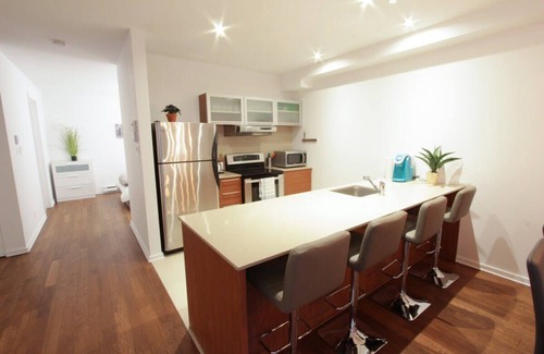 Plateau Mont Royal Apartment | MTLVR #01 | Modern Loft Plateau, A/C, Roku TV