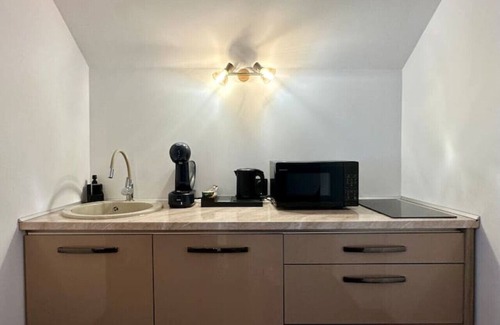 Satu Mare Apartment | Muse Loft by Eclectic 6