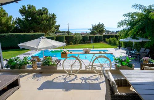 Neapoli Villa | Mytilini luxury pool VILLA AMIKA