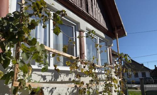 Brancovenesti House | Nóra's House