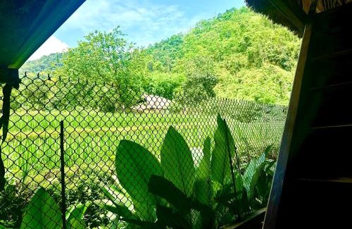 Ha Giang Cabin | Nếp homestay