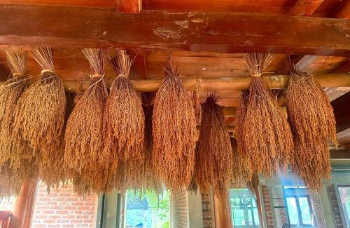 Ha Giang Cabin | Nếp homestay
