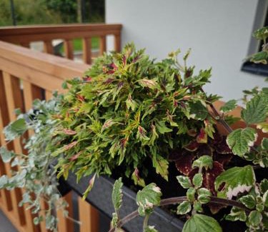 gmina Parzeczew House | Na Skraju - Pogorzelica - Domki Rekreacyjne lokal D