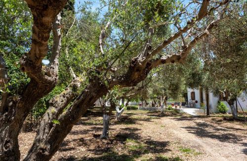 Leventochori House | Nagia's House, Εξοχική κατοικία κοντά στη θάλασσα!