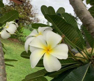 Chaloem Phra Kiat Resort | NaLinNaa Resort Buriram ณลิ์ณน่า รีสอร์ท บุรีรัมย์