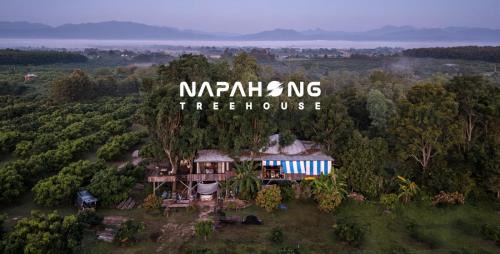 Phrao House | Napahong Treehouse นาป่าฮง