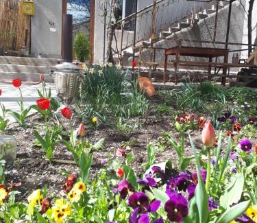 Goris Hotel | Narek B&B
