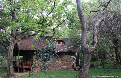 Hoedspruit Cabin | Narina Bush Cabin in the Wild