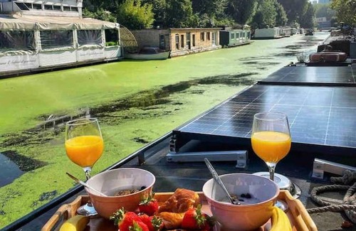 Regent's Park Other | Narrowboat and Canal Moorings
