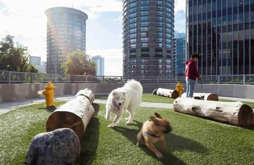 East Cambridge Apartment | Nashville Central Luxe 2Bed 2Bath Suite