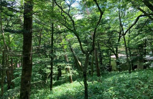 Nasu House | Nasu Cottage58 -那須 コテージ58-