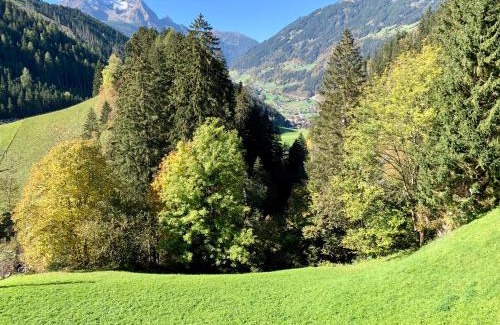 Brandberg Apartment | Natur Zeit - Alpine Garden Apartments