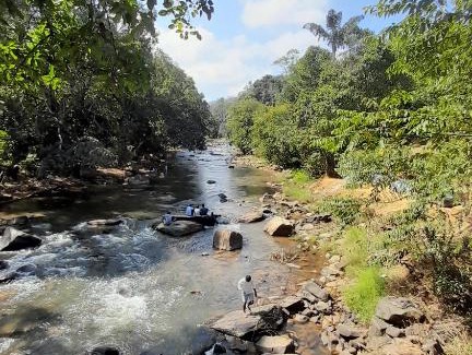 Madikeri Other | Nature river camp