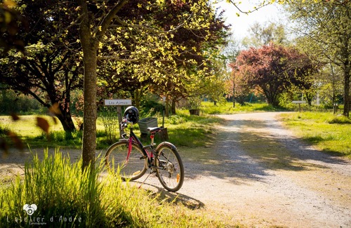 Gourge Ski Chalet | Nature, Swimming pool, Puy du Fou: country chalet for 6 people