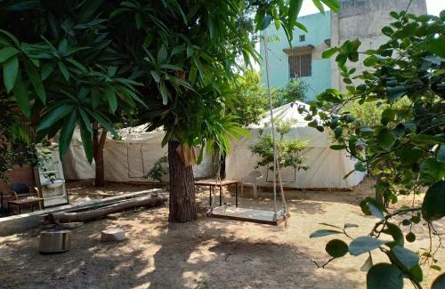 Jodhpur Other | Nature Trail camps & Homestay