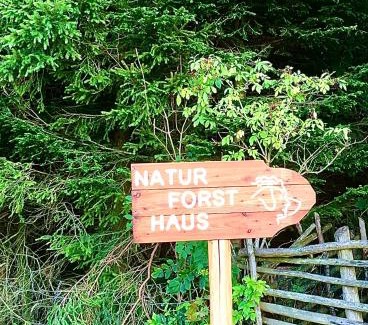 Preitenegg Bed & Breakfast | Naturforsthaus Gartenblick für Hunde - und naturverbundene Menschen