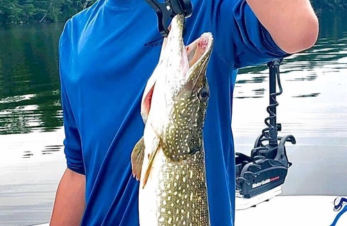 Monmouth Cabin | Naughty Dog Private Island Log Cabin