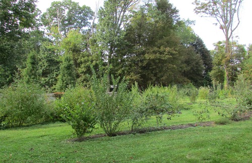 Andover Apartment | Near Phillips Academy Andover.