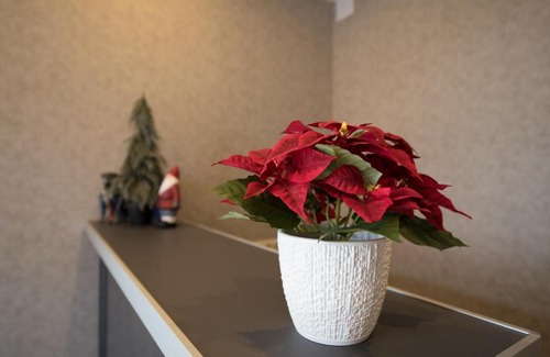 Imeritinskaya Lowland Apartment | Nekrasovka Village