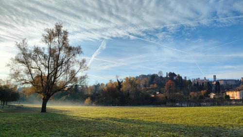 Bergamo Apartment | Nelly Bergamo Apartments