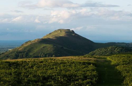 Picklescott House | Nest Holiday Hideaway Wren Cottage Stunning Area!