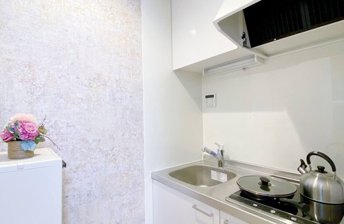 Minamiotsuka Apartment | Nestay Villa Tokyo Otsuka