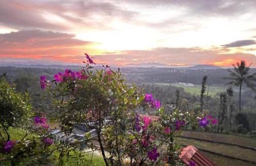 Mudigere Bed & Breakfast | Nestinggrounds