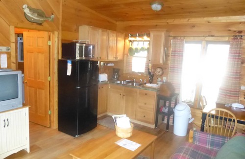 Lansing Cabin | Nestled In A Mountain Setting With Several Water, Scenic, And Shopping Venues.