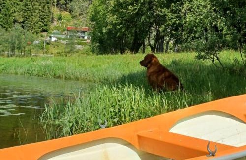 Arna House | Nesvika nature reserve holiday home, only 25 min from Bergen