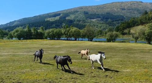 Arna House | Nesvika nature reserve holiday home, only 25 min from Bergen