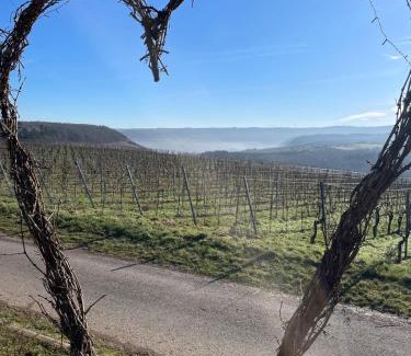Bekond Apartment | Neue Fewo mit Weinbergsblick - Urlaub im Wein- und Ferienort Bekond
