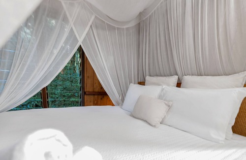 Kamerunga House | Neverland- The Stoney Creek Treehouse