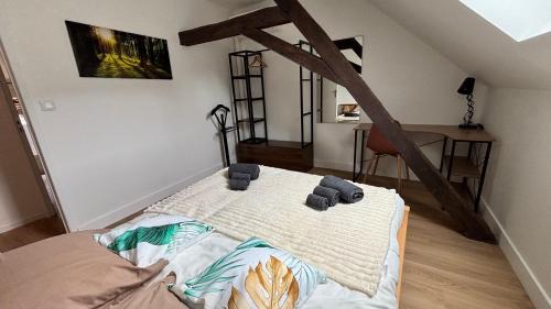 Nevers Apartment | Nevers nature
