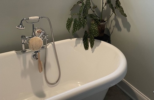 Spring Lake Heights House | New 2024 Spring lake, East side 71!Outdoor shower, front porch, fenced yard +++