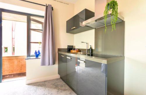 Centrum Apartment | New Apart-hotel Near 013 Poppodium With Fast Wifi