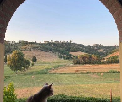 San Miniato Apartment | New apartment immersed in nature with pool