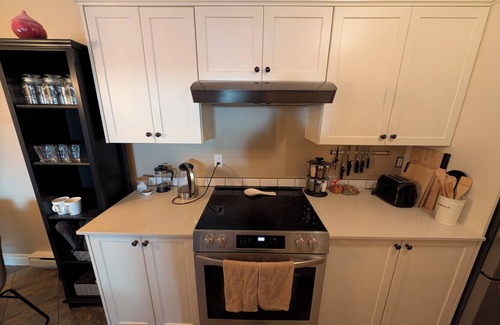 Hillside - Quadra - Downtown Blanshard Condo | New, fully renovated, modern condo in the vibrant Quadra Village neighbourhood