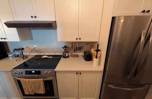 Hillside - Quadra - Downtown Blanshard Condo | New, fully renovated, modern condo in the vibrant Quadra Village neighbourhood