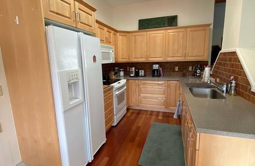 Manchester Condo | NEW Gorgeous mountain view condo 4bdr 3bth, wifi, cntrl air,near golf & downtown