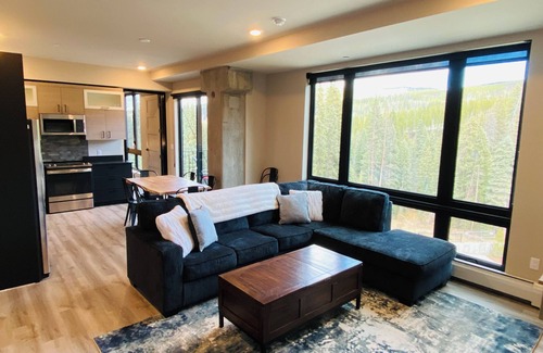 Winter Park Condo | New Hike/Ski in/out Modern Condo-Mountain Views
