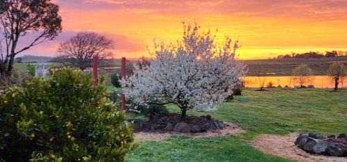 Smeaton House | New Horizons Farm Stay