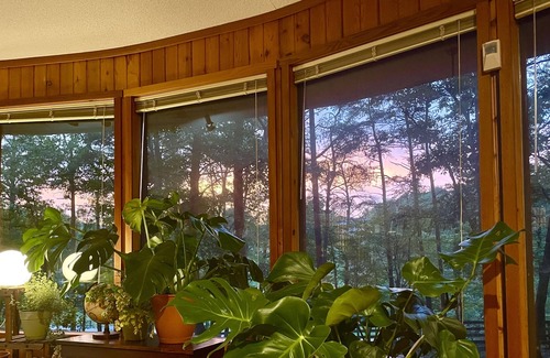 The Woods Resort | NEW & HOT! Huge, Dog-Friendly, Mid-Century Fabulous rancher