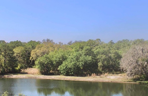 Riverview Apartment | NEW! Luxurious Lakeview Retreat King Size| 1BR/1BA