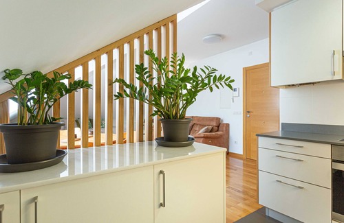 La Coruna Apartment | NEW PENTHOUSE Centriquisimo garage 2 bathrooms full center full equipment in beach